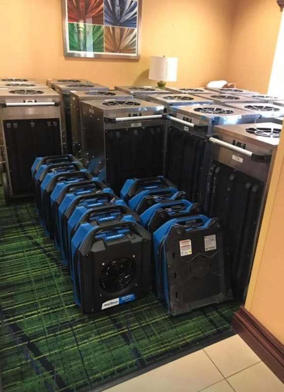 Room filled with dehumidifiers and air movers on patterned carpet